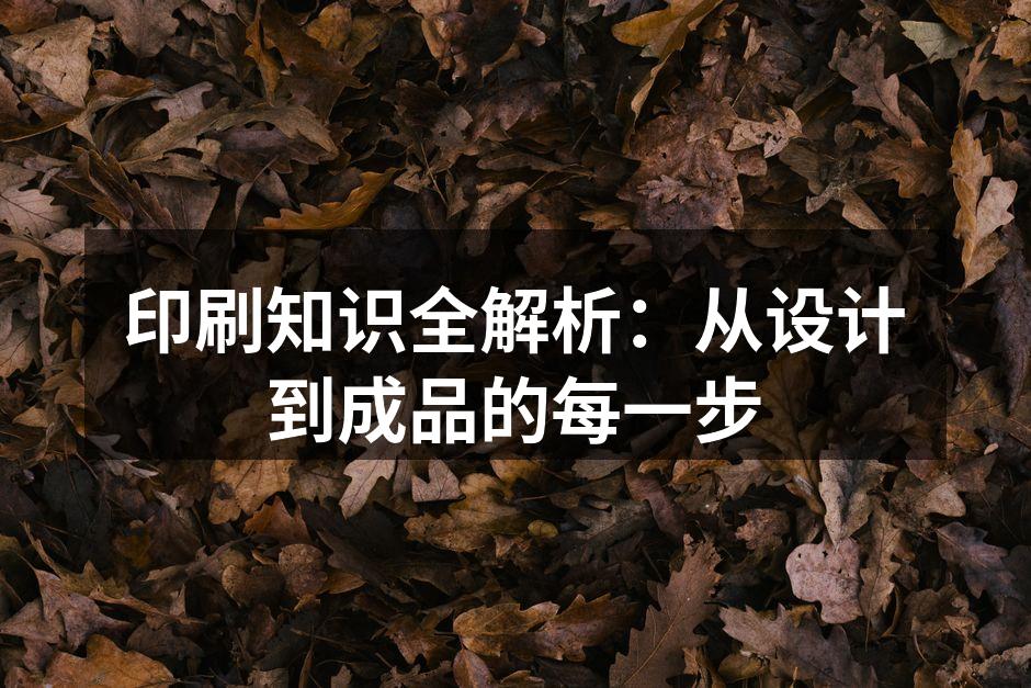 印刷工艺展示
