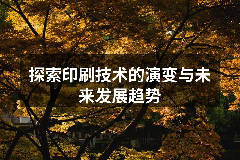 现代印刷技术的多样化